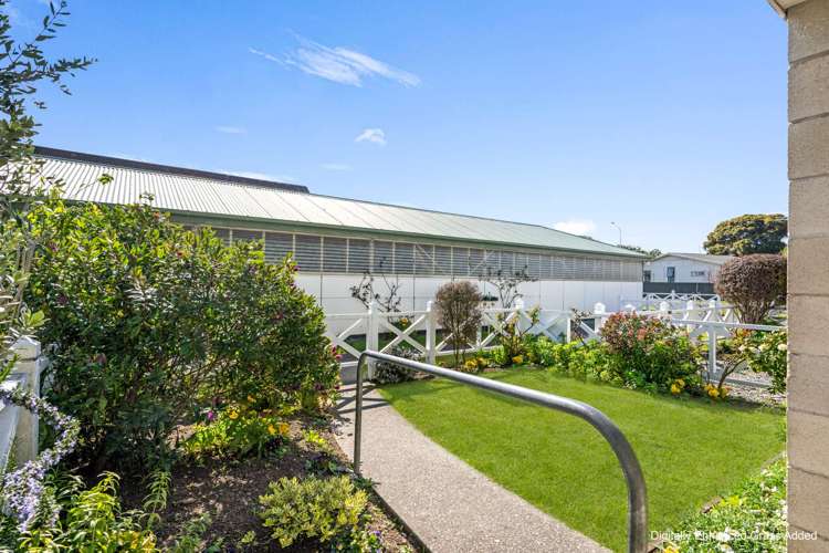 11/196 Vigor Brown St Napier South_5