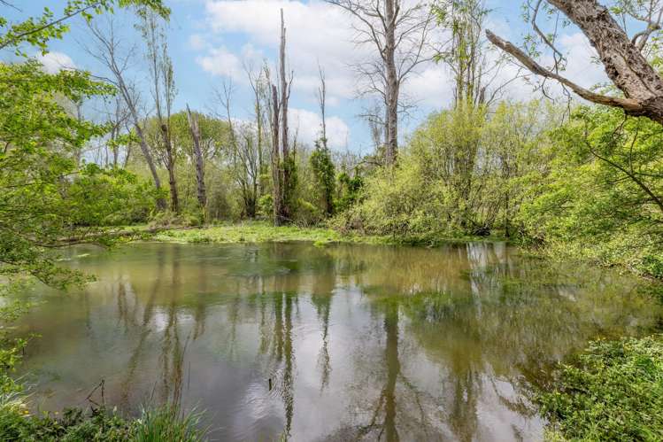 Lot Lot 2/159 Banks Road Matamata_48