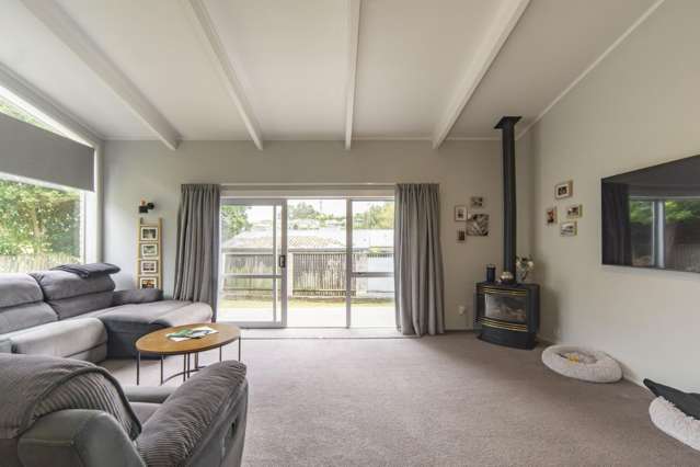 217 Whatawhata Road Dinsdale_1