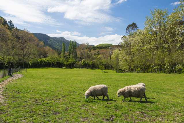 598 Riverside Road Matokitoki_3