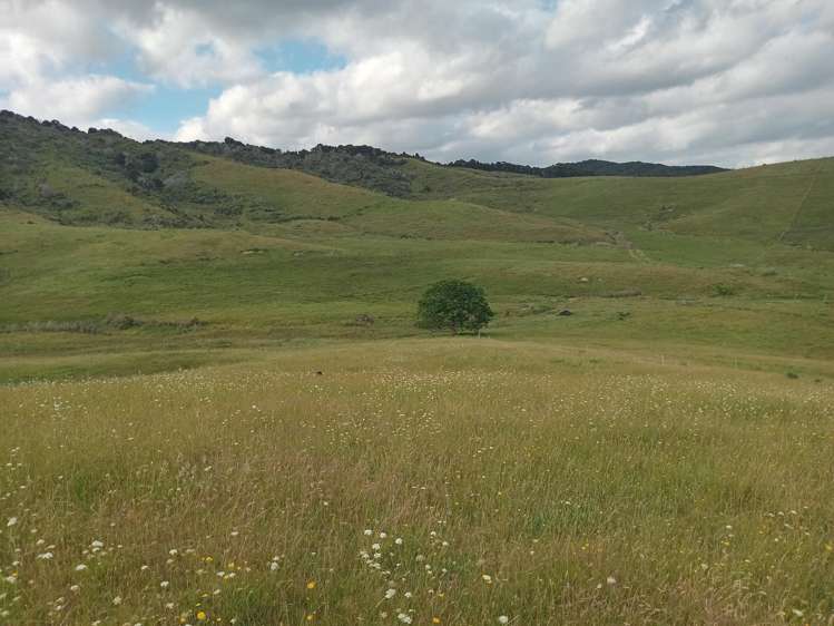 Lot 2 & 3/36 Te Moho Road_3