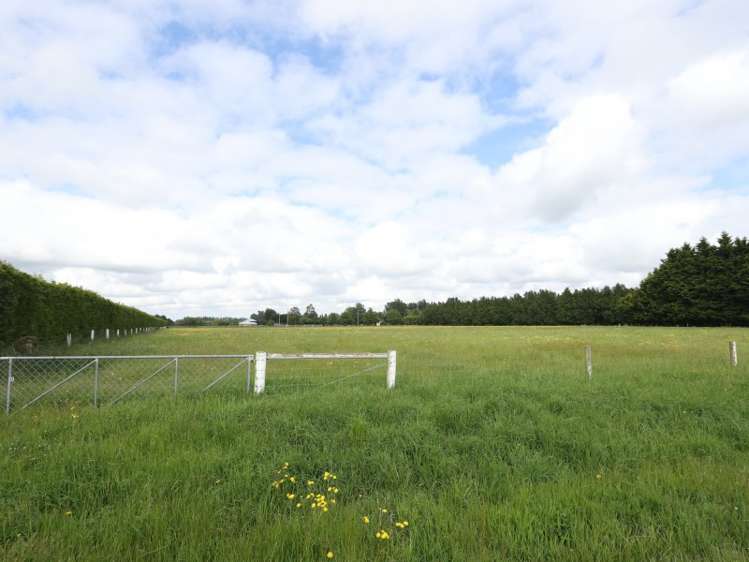 86 Carters Terrace Tinwald_11