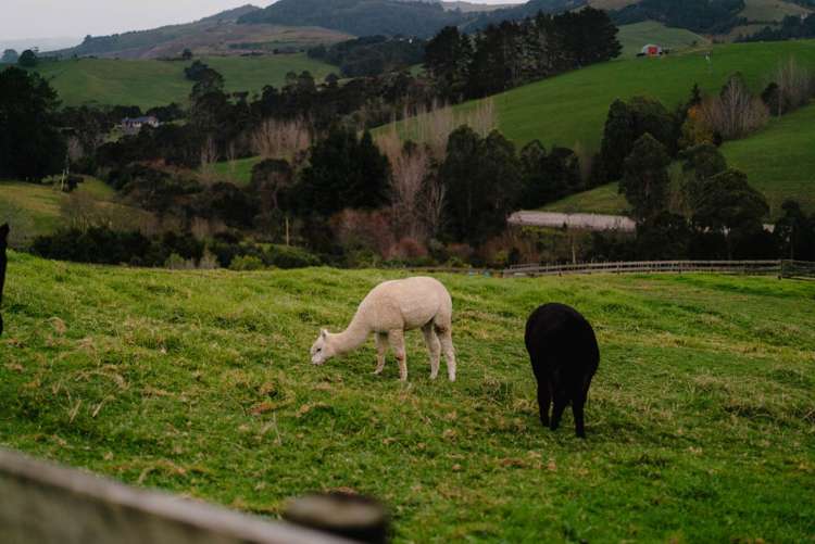 155 Pratts Road Ramarama_35