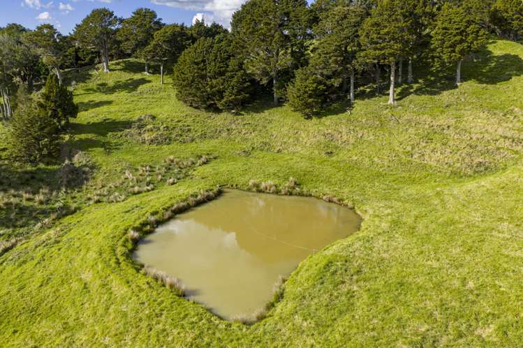 1782 State Highway 12 Paparoa_29