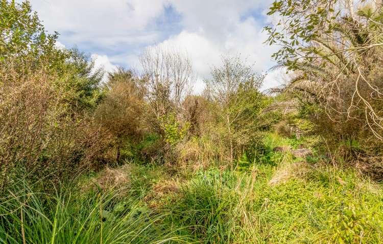 55 Station Road Paeroa_18