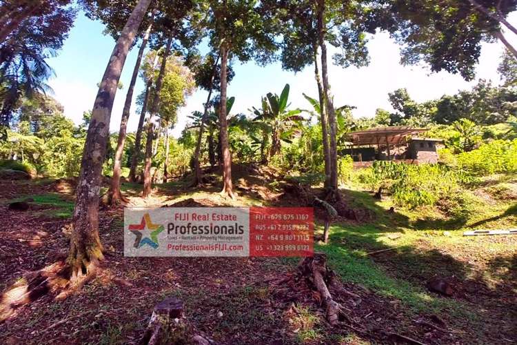 Address withheld Waidroka Bay_21