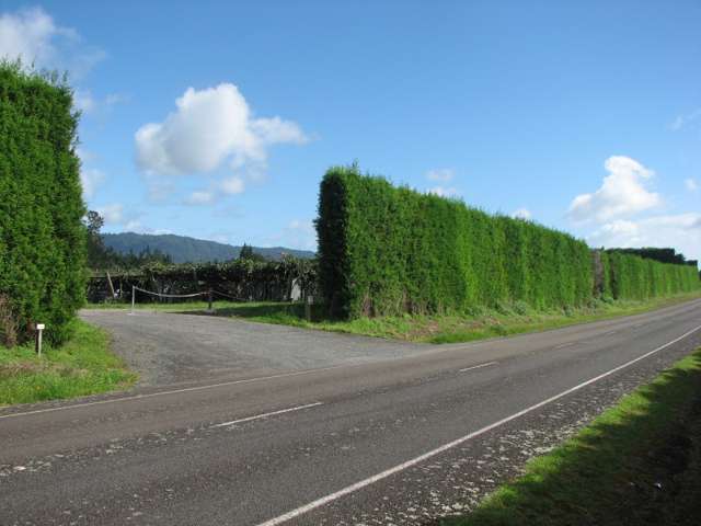 644 No 2 Road Te Puke_2