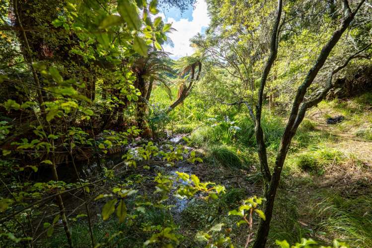 115 Wilma Road Surfdale_26