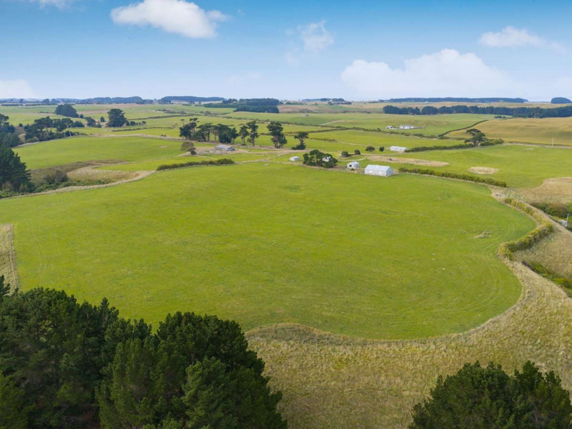 116 Karahaki Road Waverley_0