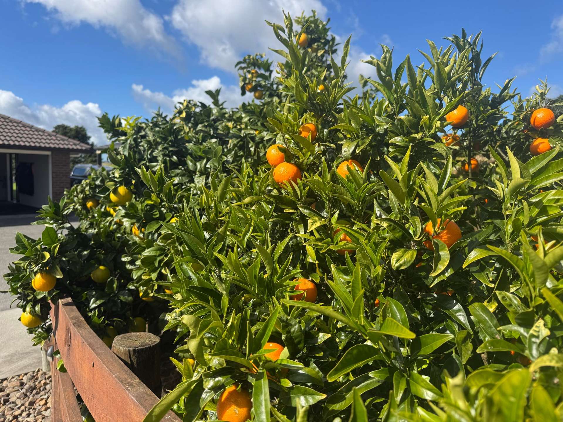 38D Kaipara Lake Road Helensville_0