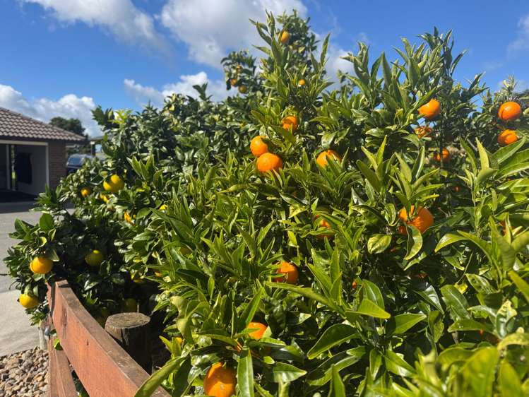 38D Kaipara Lake Road_0