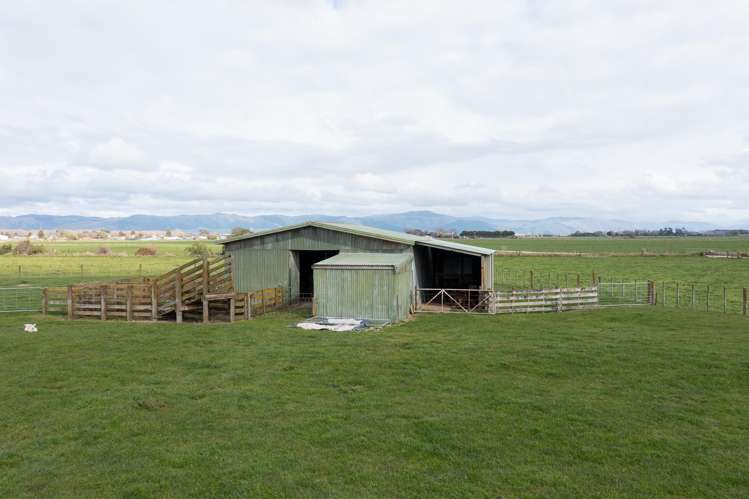 537 No 1 Line Longburn_22