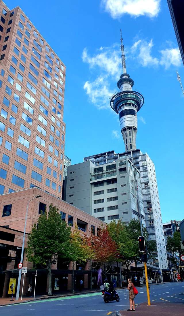 3EH/23-31 Hobson Street Auckland Central_4