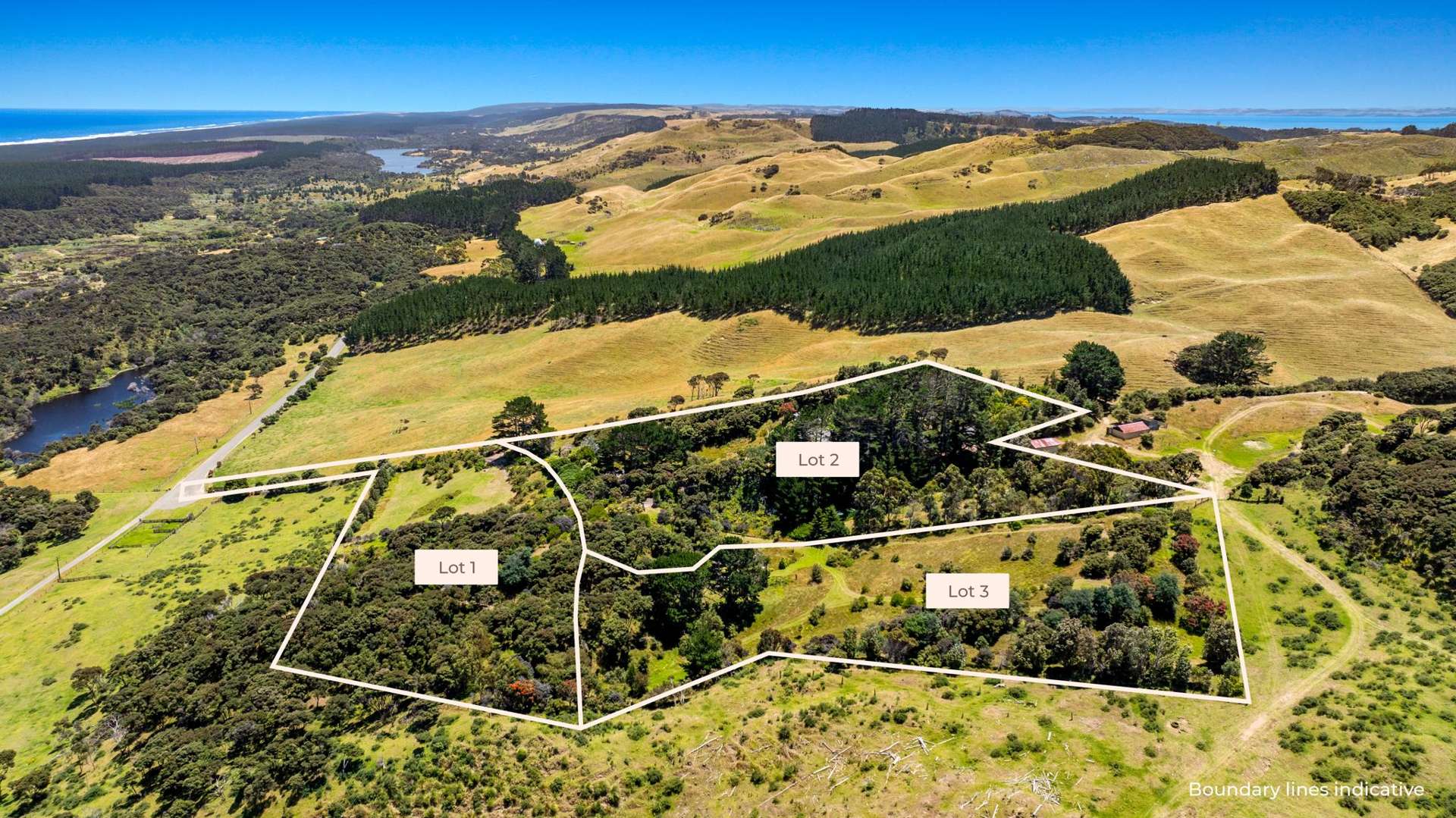 789 Wilson Road, South Head Helensville_0