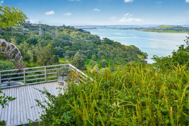 12 Cape Horn Road Mount Roskill_1