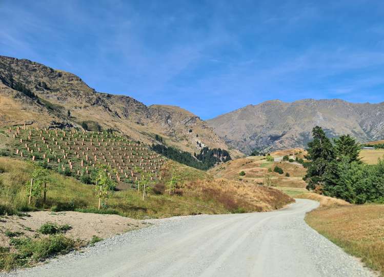 Frogmore Lane Dalefield Queenstown Rural Property For Sale One Roof