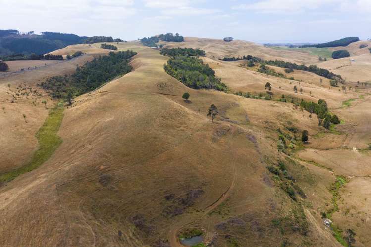 1149 Waikaretu Valley Road Waikaretu_16