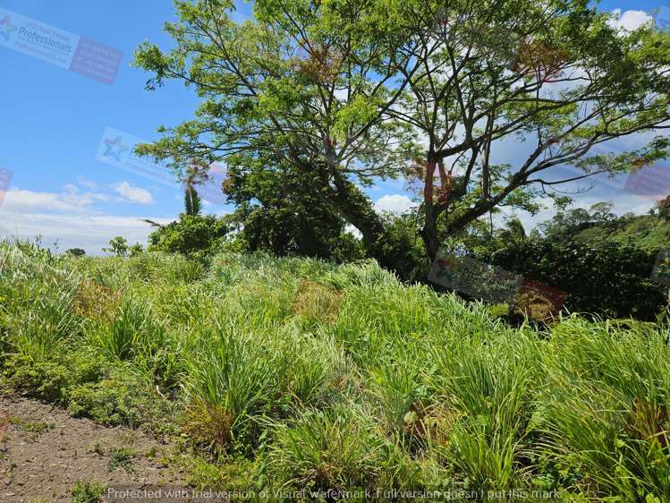 Address withheld Savusavu_13