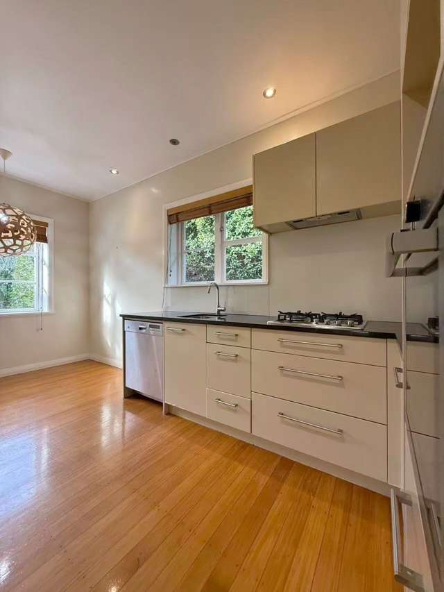 19 Sayegh Street Saint Heliers_3