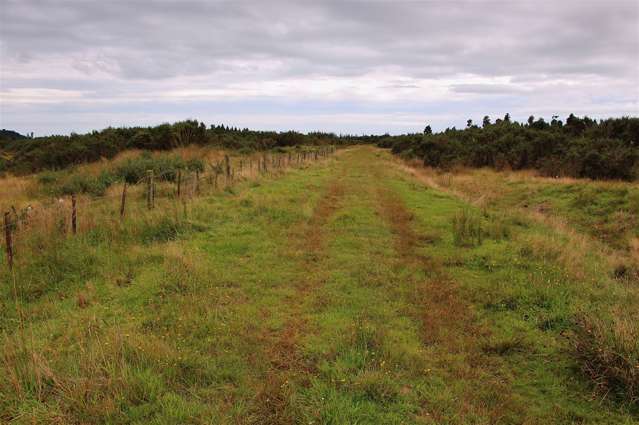 Blue Spur Road Hokitika_3