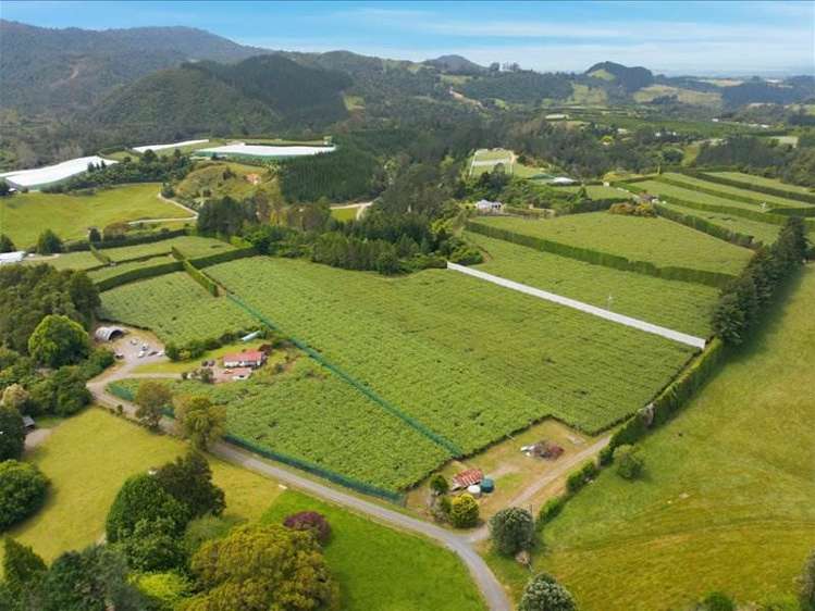 1399A No. 3 Road Te Puke_11