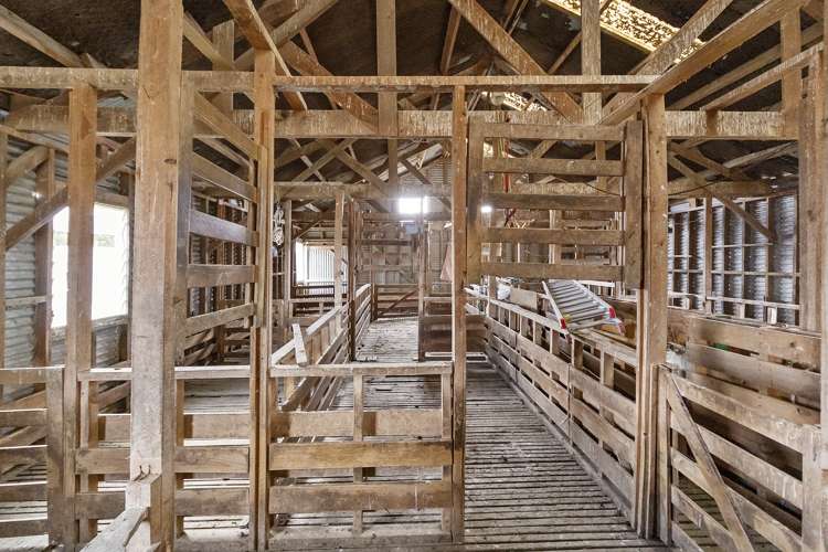 479 South Boundary Road Waitohi_22