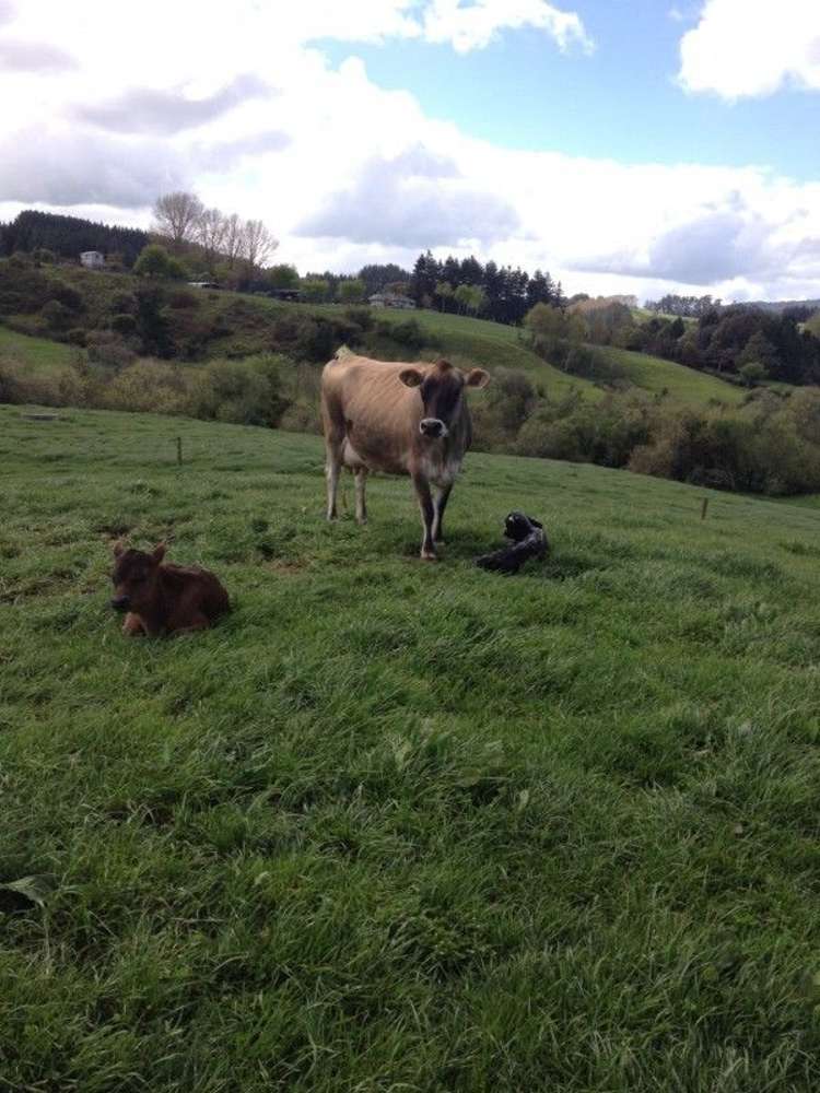 187 Baker Road Karapiro_18