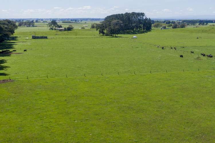 335a Couper Road Glen Oroua_8