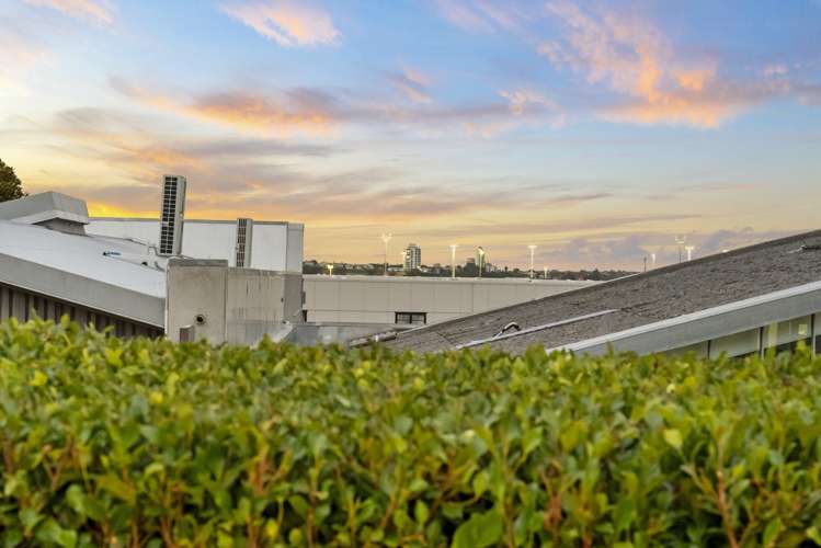 27 Garfield Street Parnell_14