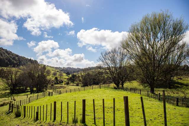 164 Arcadia Road Paparoa_1