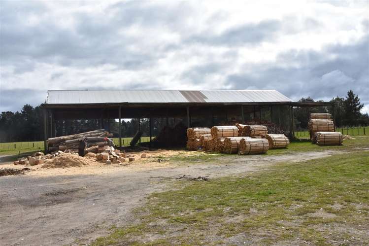 63 Tiverton Downs Road Broadlands_13