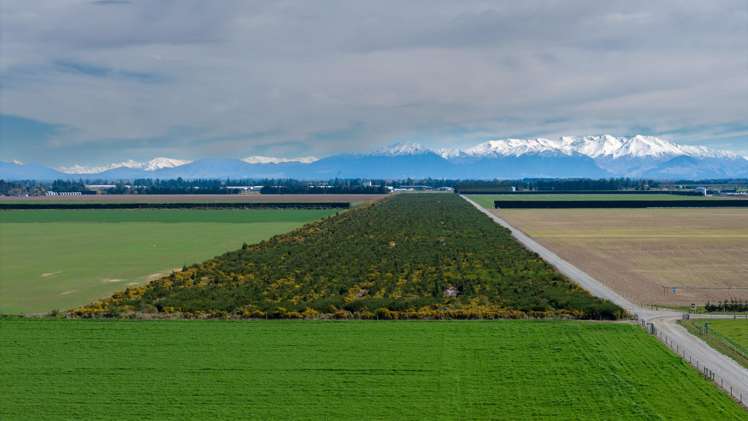 Company Road Ashburton_6