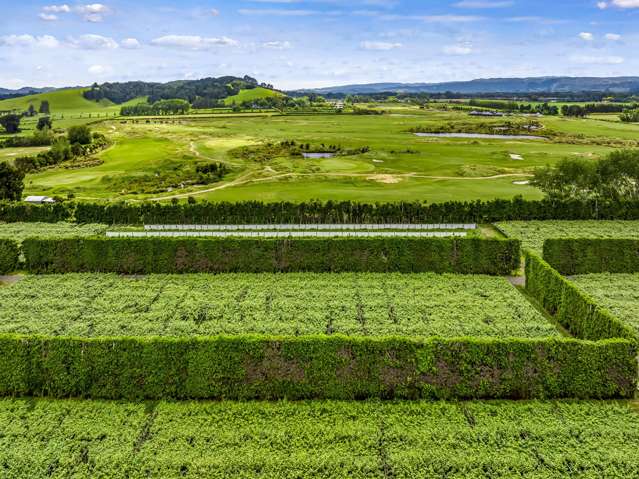 155 Phillip Road Takanini_3