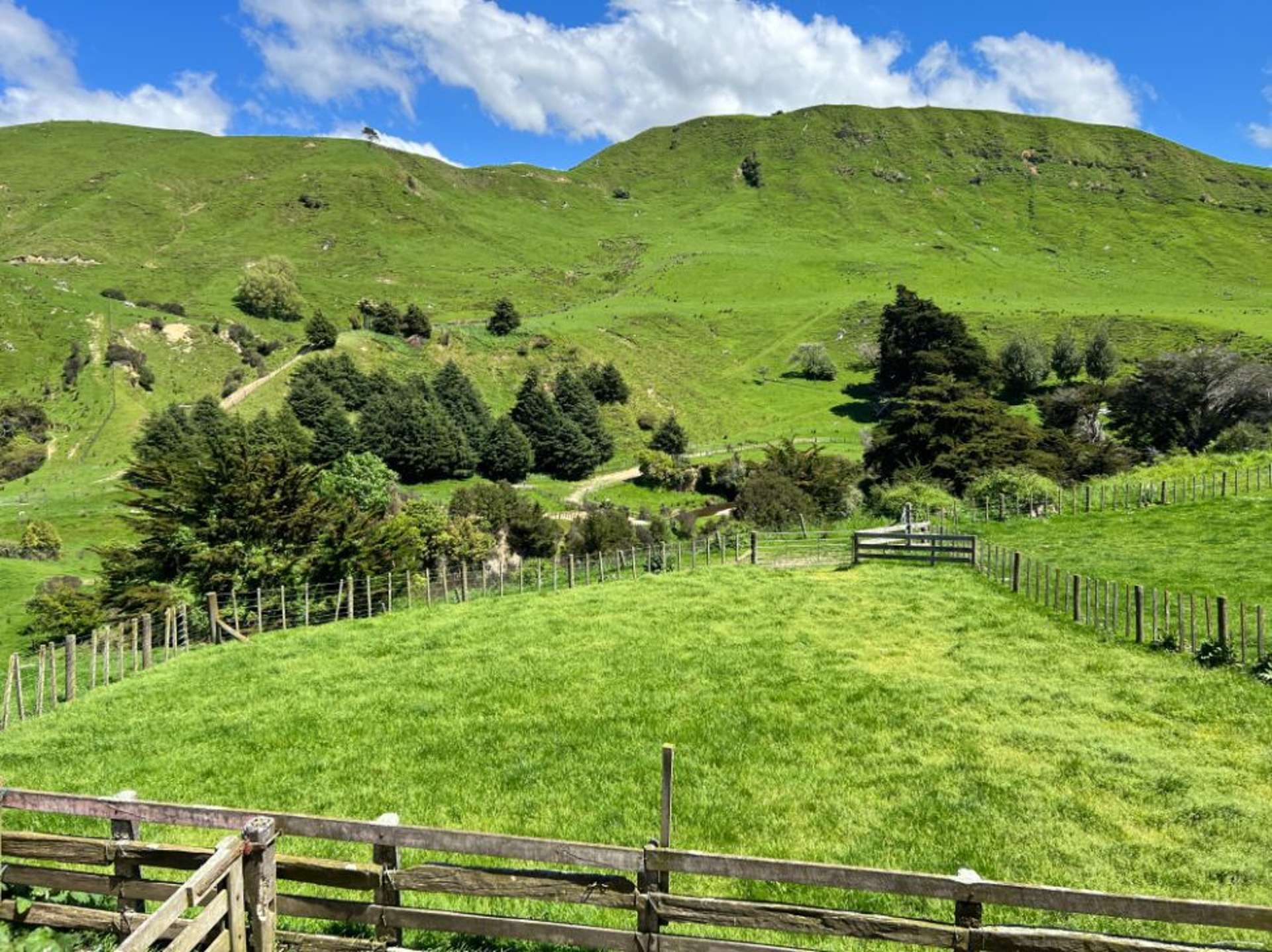 374 Otawhao Road Kumeroa_0