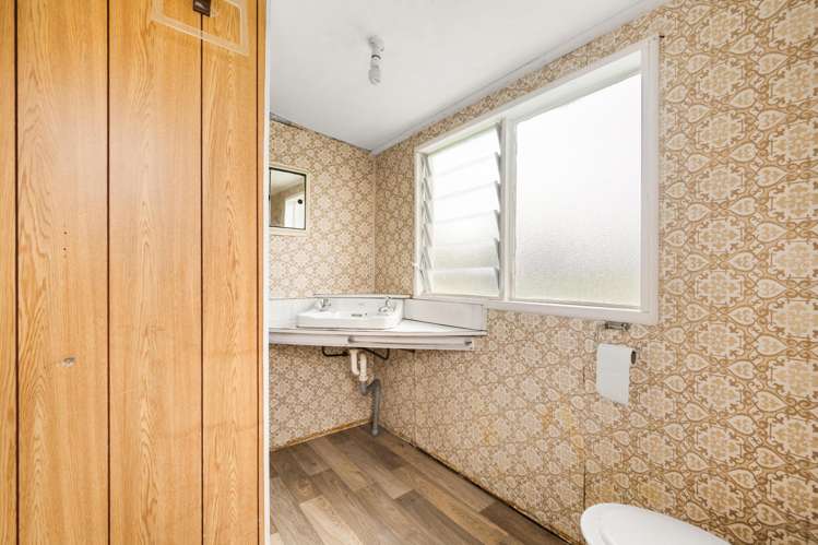 18 Ashworth Street Alexandra_20