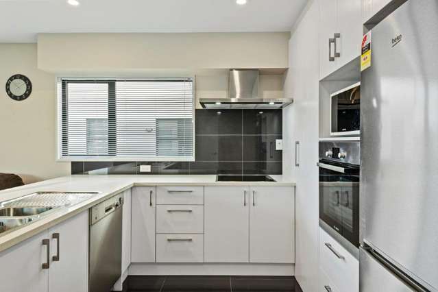 12 Broadbent Street Riccarton_4