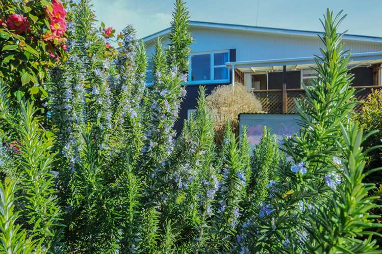 32 Domett Esplanade Cobden_17