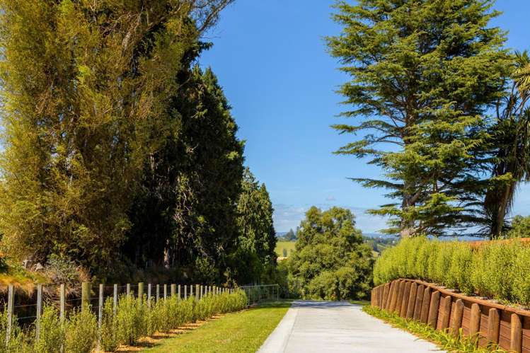 94 Taniwha Place Bethlehem_6