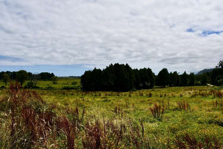 1/Lot 1 Kongahu Road Little Wanganui_25