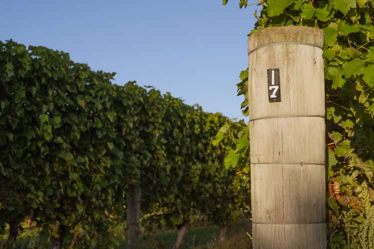 488 Delta Lake Heights Renwick_13