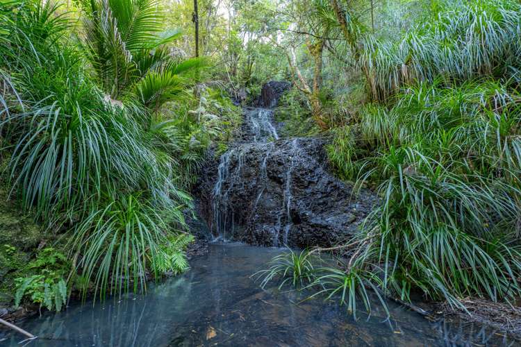 1220F Te Rerenga Kuaotunu Road Kuaotunu_28