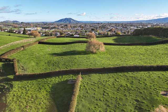 Picquet Hill Road Te Awamutu_1