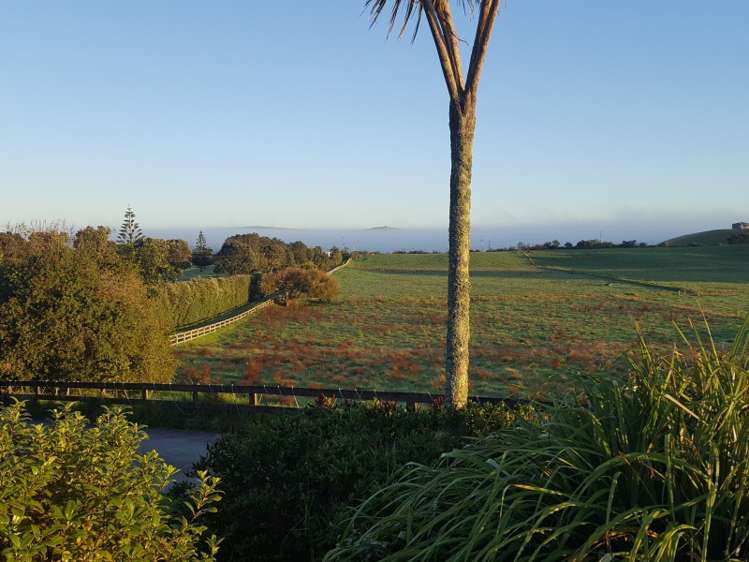 817 Baylys Coast Road Dargaville Surrounds_9