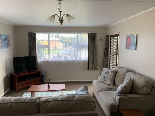  43 Skerman Street Marton_2