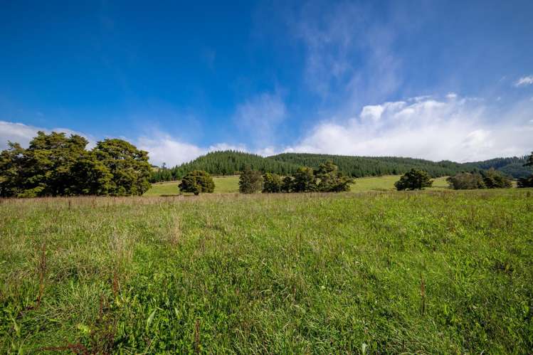 229 Teapot Valley Road Brightwater_28