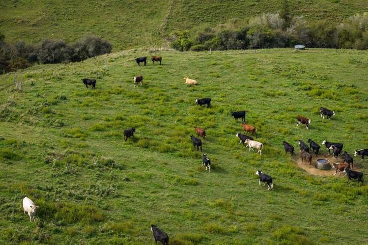 58 Deam Road Waihi_37