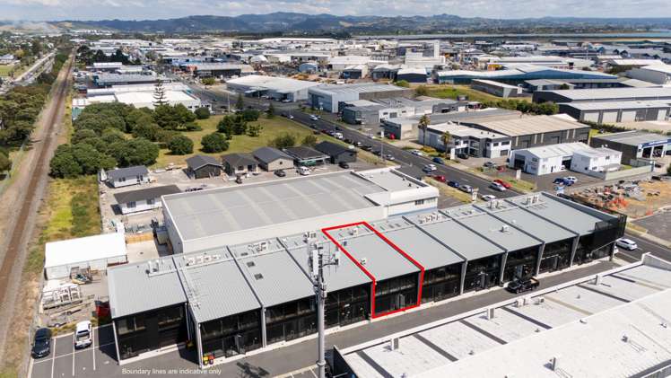Unit 6/41 Newton Street Mt Maunganui_10