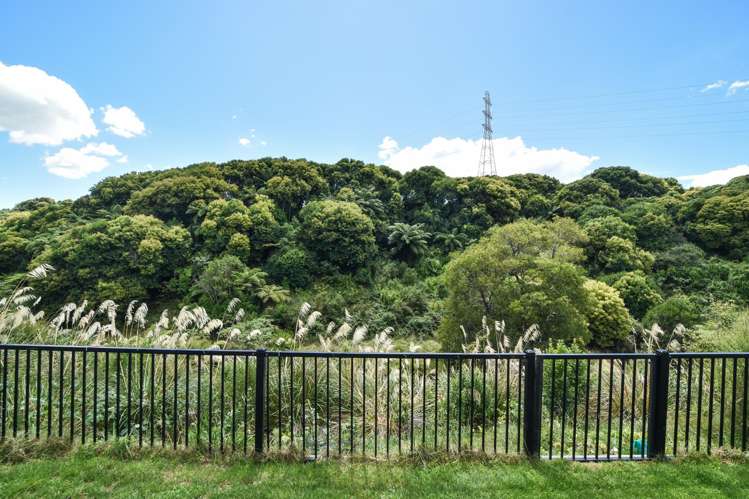 171 Adler Drive Ohauiti_9