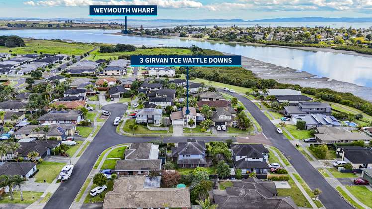 3 Girvan Terrace Wattle Downs_19