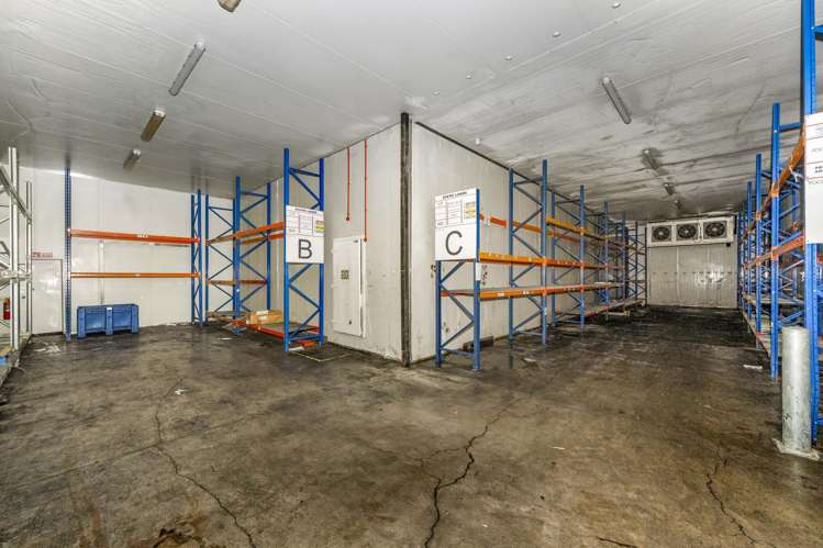 40 Honan Place Avondale_12